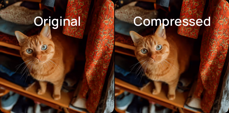 Compare and Adjust images