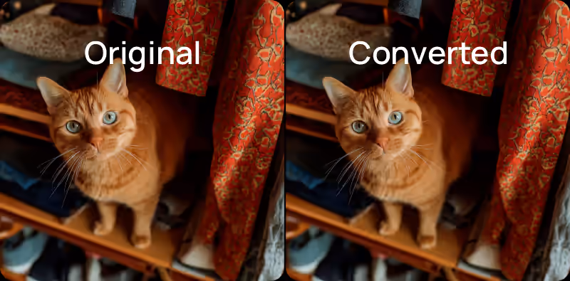 Compare and Adjust images